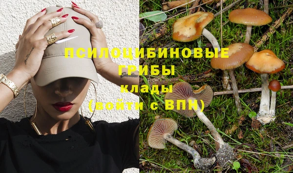 хмурый Арсеньев