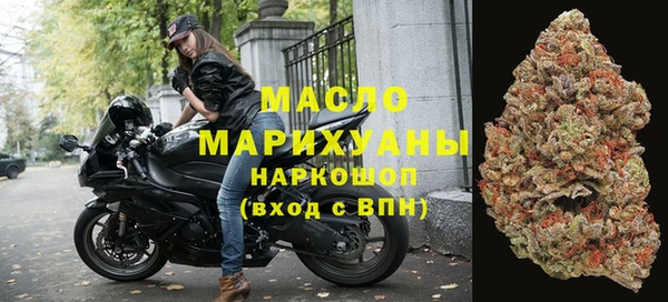 хмурый Арсеньев