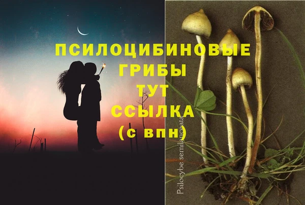 тгк Аркадак