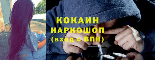 хмурый Арсеньев