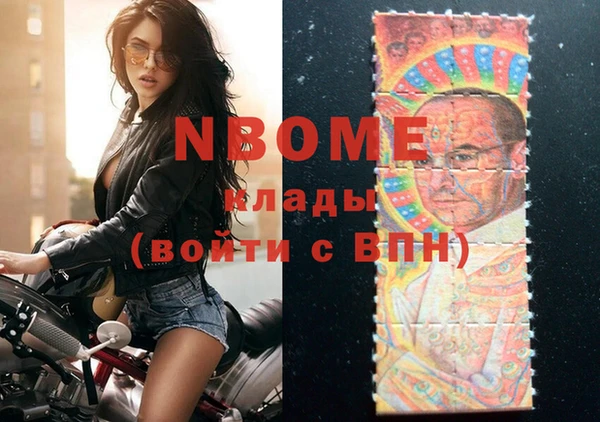 хмурый Арсеньев