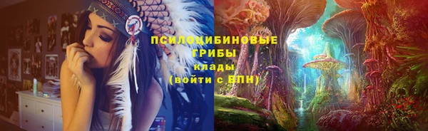 Альфа ПВП Осташков